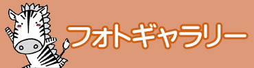 天川幼稚園　フォトギャラリー